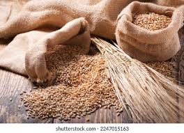 Wheat